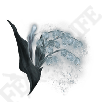 Ghost Glovewort [6]